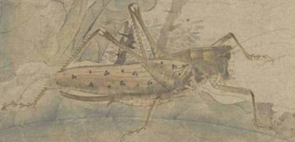 1625736732210339.jpg 蝶.jpg